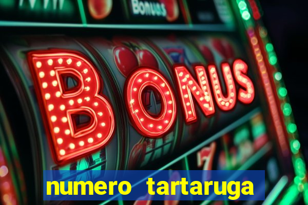 numero tartaruga jogo do bicho